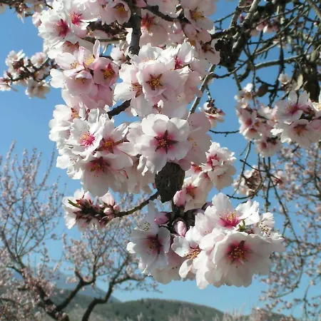 Cortijo Blanco